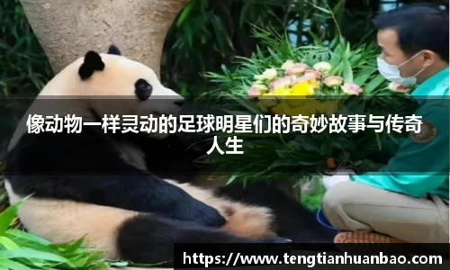 bsport必一官方网站